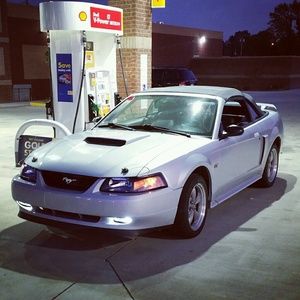 Meet your Posher, Gabriel